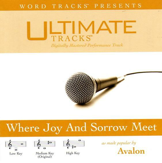 Avalon Where Joy And Sorrow Meet Backing Track Instrumental