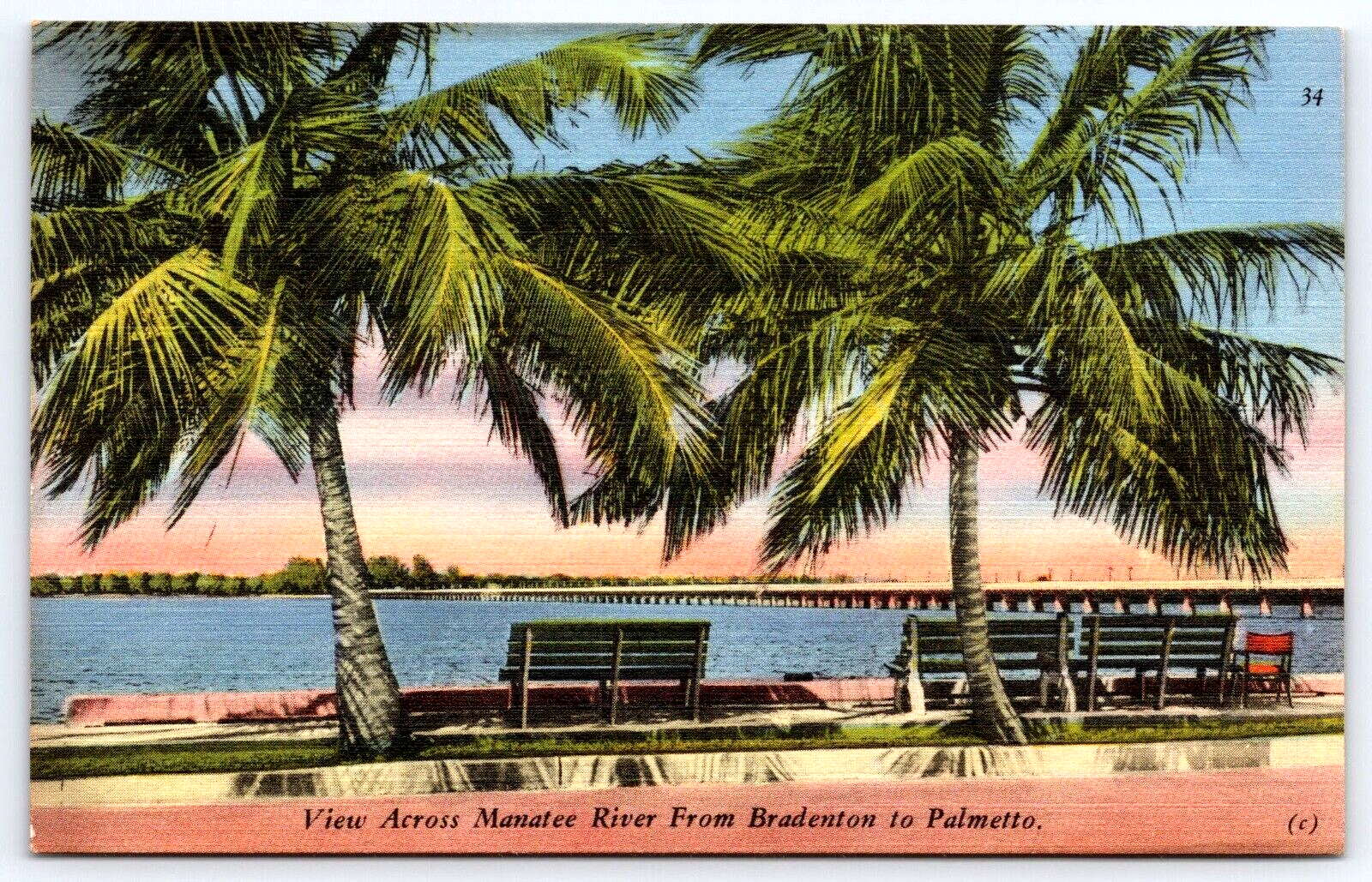 VINTAGE OLD ANTIQUE POSTCARD MANATEE RIVER PIER BRIDGE BRADENTON FLORIDA USA