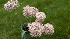 Handmade Hazel Gypsy Flowers Set of 6 - Traditional Sussex Woodland Craft