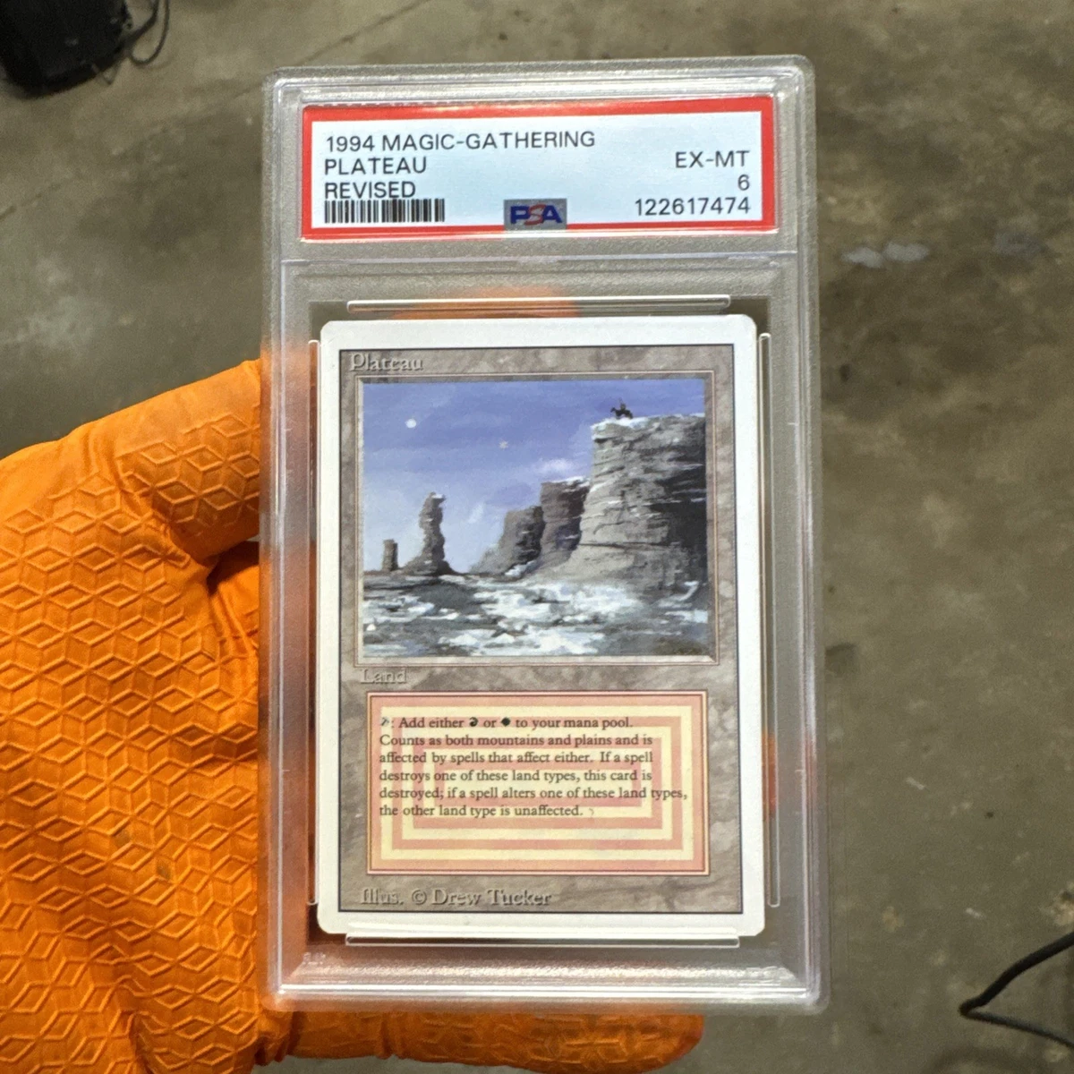 Land Magic: The Gathering Professional Sports Authenticator (PSA