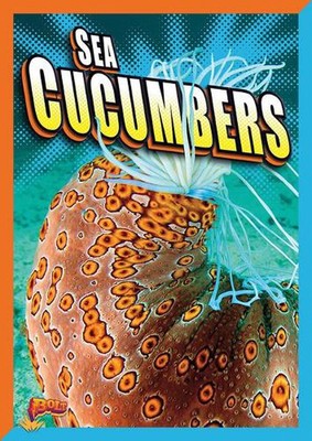 Sea Cucumbers by Gail Terp (English) Paperback Book 9781644663806 ...