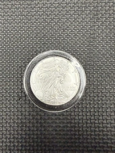 2019 1 OZ Ounce Fine Silver One Dollar Coin Encapsulated Uncirculated Liberty 👀