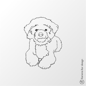maltipoo ebay