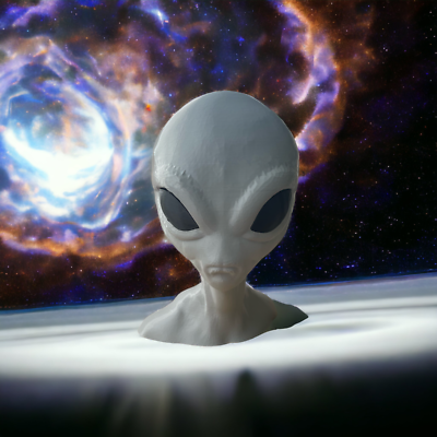 1:1 Grey Alien 11” 28cm head / Bust in shining grey skin