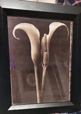 Rare Framed Nightfall Print By George Whiteside Art Gift 