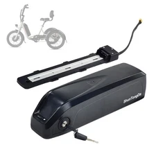 48V hailong battery For RadRunner 2 RadExpand 5 RadWagon 4 Electric Bike battery
