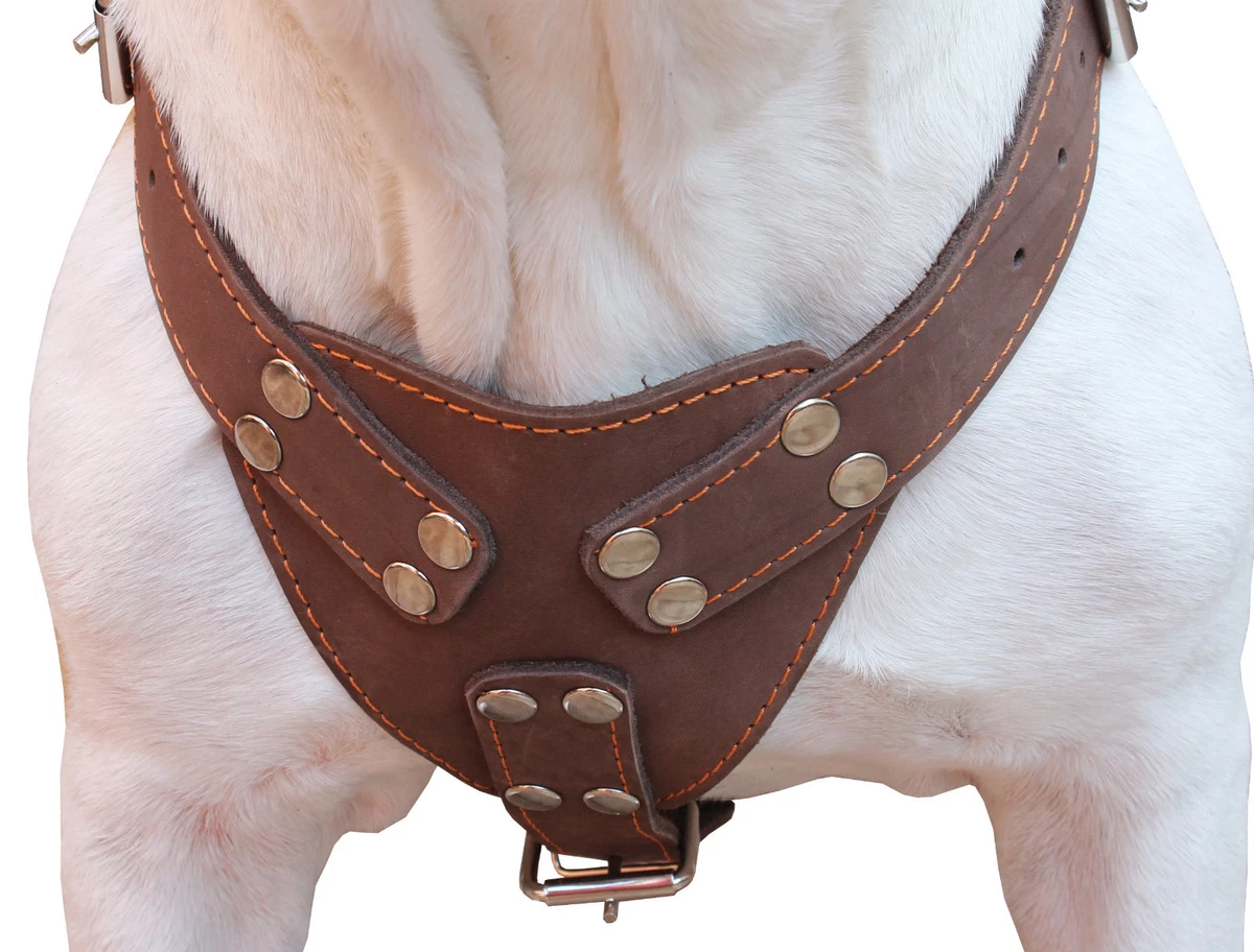 Newfoundland dog clearance harness
