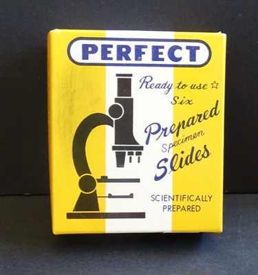 Perfect Prepared Specimen Slides,  6 Slide in Box, 810-1 Honey bee parts