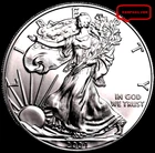 2004  AMERICAN SILVER EAGLE  1  OZ.  PURE FINE SILVER  999 BULLION COIN / EX-UNC