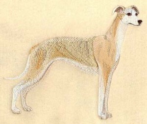 whippet ebay
