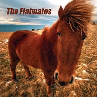 Flatmates - Vinyl Record - F72Z