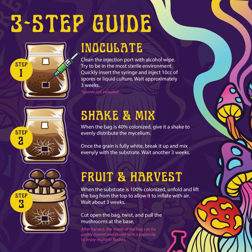 4lb All-in-One Mushroom Grow Bag | Easy To Use |  New Size! - Image 4 of 4