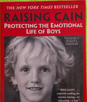 Dan Kindlon & Michael Thompson Raising Cain Paperback Parenting Boys Psychology