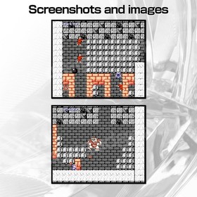 Ghosts 'n Goblins & Makaijima (Pirate Ship Higemaru) Famicom / FC [Japanese NES]