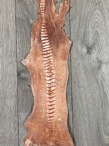 GENUINE OSTRICH LEG SKIN LEATHER HIDE EXOTIC LEATHER - Picture 5 of 6