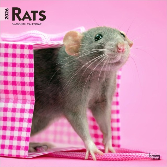 Rats 2026 12 X 24 Inch Hanging Monthly Square Wall Calendar PlasticFree CALENDAR