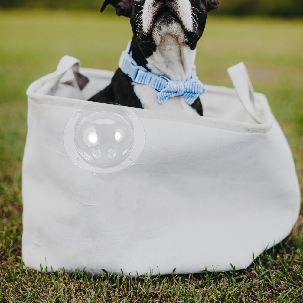 Set 4 Recinzione Animali Domestici Cupola Gatto Ricambio Trasportino Casa Cani Accessori foto 4