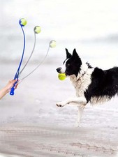 Pet Ball Launcher Dog Training Toy Thrower with Tennis Ball for Outdoor