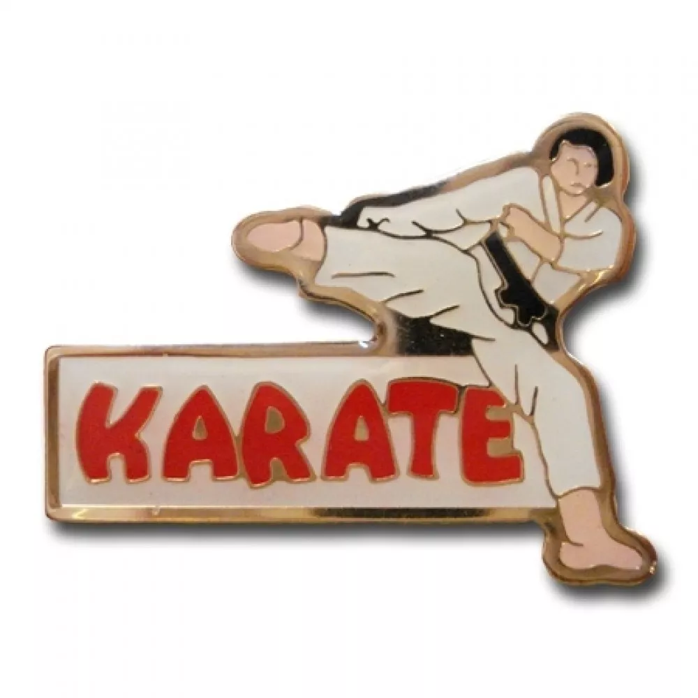 Pin on Martial Arts