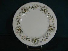 Spode Summerfield Y8103 Dinner Plate(s)