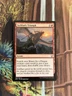 Sarkhan's Triumph, Dragons of Tarkir, MTG - NM