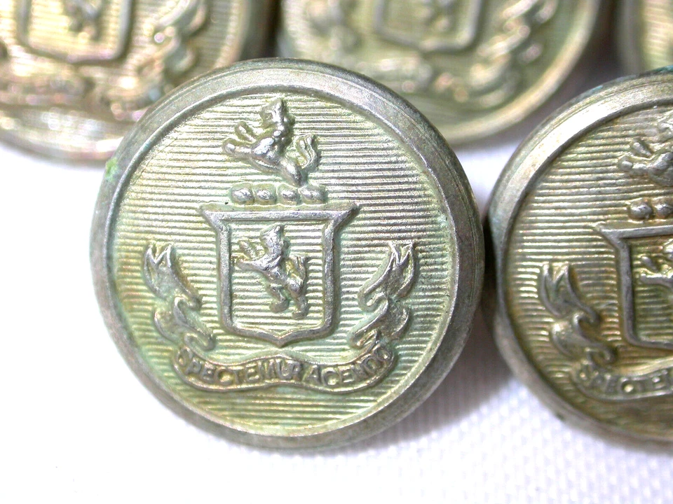 5 Vtg Brass Tone Coat Buttons Latin Spectemur Agendo Griffin Shield 5/8" Shank - Image 2 of 4