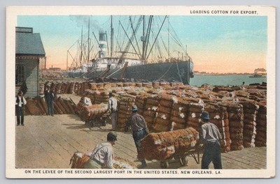 Vintage New Orleans LA Cotton Export Levee Steamship Port Postcard