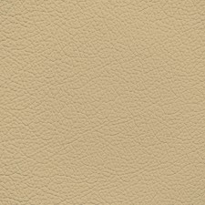 Mercedes Creme Beige Leather Dye