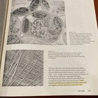 Picture 7 of 8
