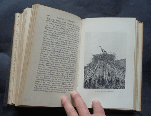 MANY DAYS IN MOROCCO by John Horne: Africa / Travel / Fez / Xauen / African 1936 - Imagen 3 de 12
