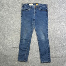Pilcro and the Letterpress Serif Anthropologie Skinny Blue Women's Jeans Size 31