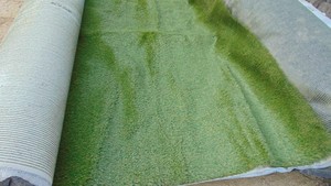 Unused Turf - No Infill - 15' x 20'