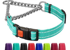 Martingale Dog Collar Reflective Mint Green w/ Stainless Chain Medium 14-17"