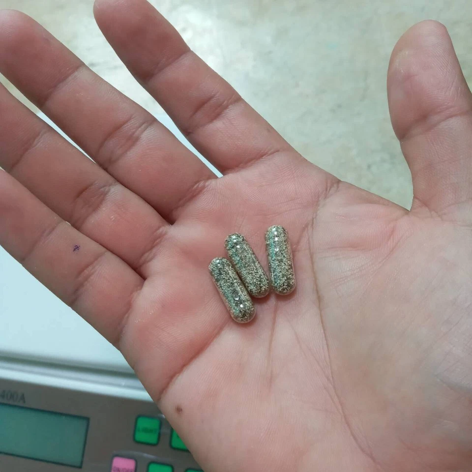 Moina Macrocopa huevos quistes peces vivos alimento guppy proteína agua natural 50 Cap. Foto 4 de 4