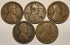 Circulated lot of (5) nicer low mintage 1913 D Lincoln Wheat Cents
