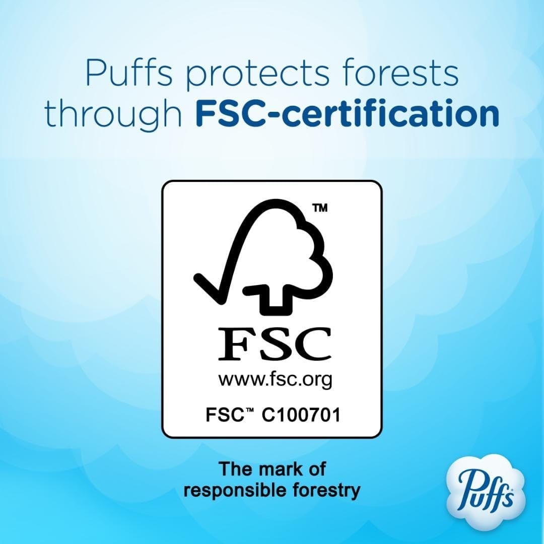 Puffs Ultra Soft Facial Tissues, 1 Family Size Box, 124 Facial Tissues Per Box