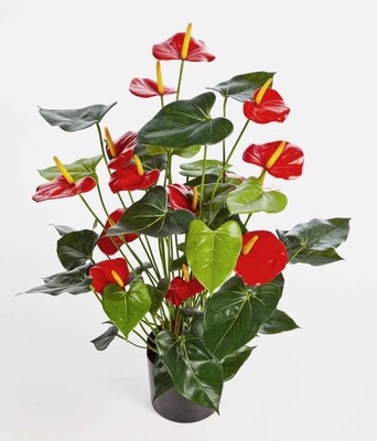 artplants Kunstpflanze Anthurium Busch Levana, 13 Blüten, rot, Deluxe, 80cm