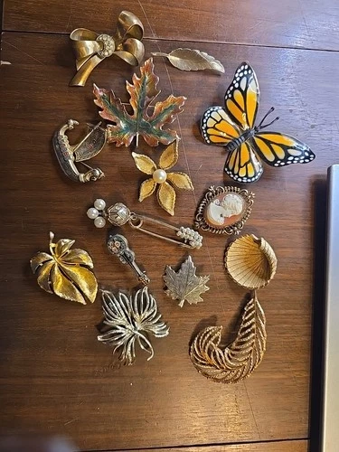 Vintage Lot Of Brooch Pins Jewelry Costume