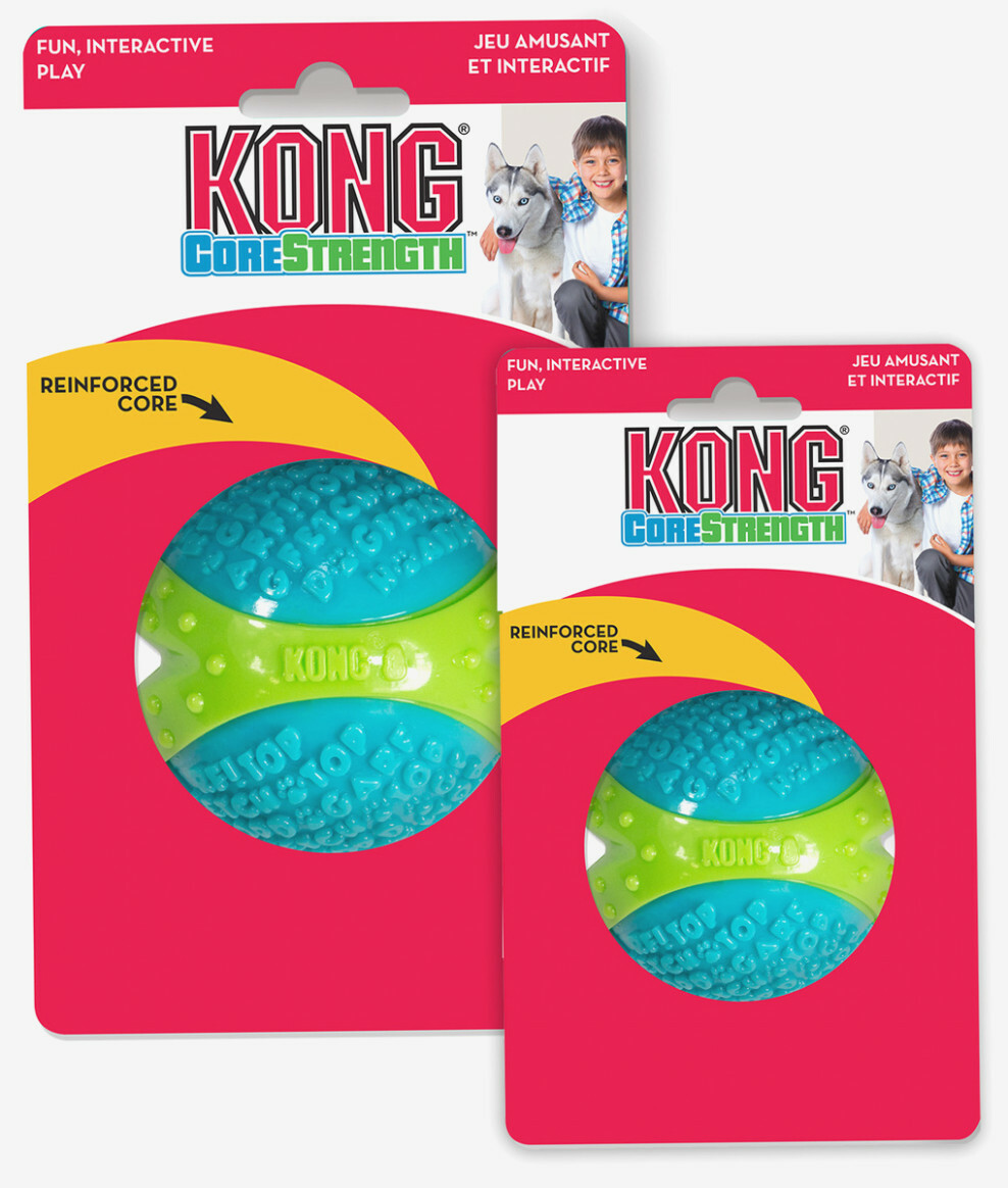 kong core strength ball
