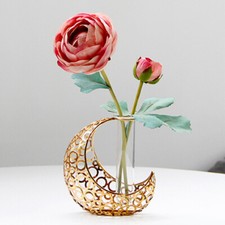 Metal Moon Vase Office Centerpiece Vases for Table Test Tube Flower