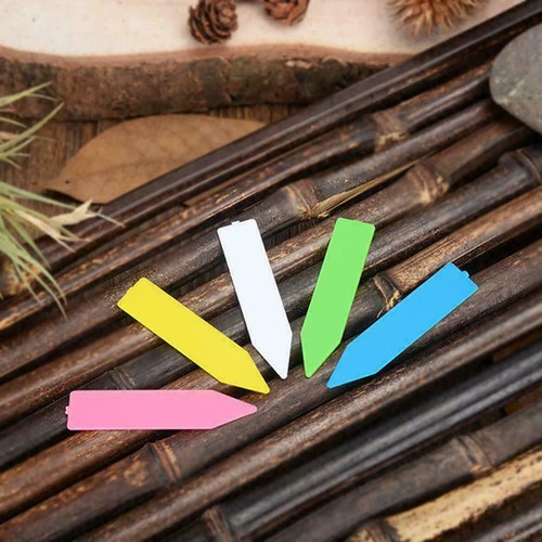 100 X Etichette Plastica Piante Fattorie Parco Fiori Semi Palo Giardino Cartelli Cartellino - Foto 12 di 17