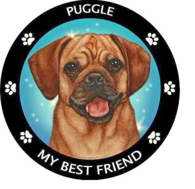 Limited Edition PUGGLE  DOG PET ANIMAL Pendant 925 Sterling Silver 22'' Chain