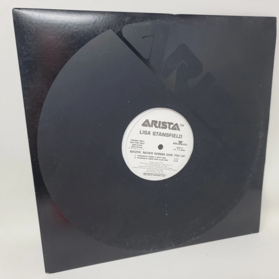 Lisa Stansfield Never Gonna Give You Up x1 12" Vinyl Record Single - Image 3 of 4