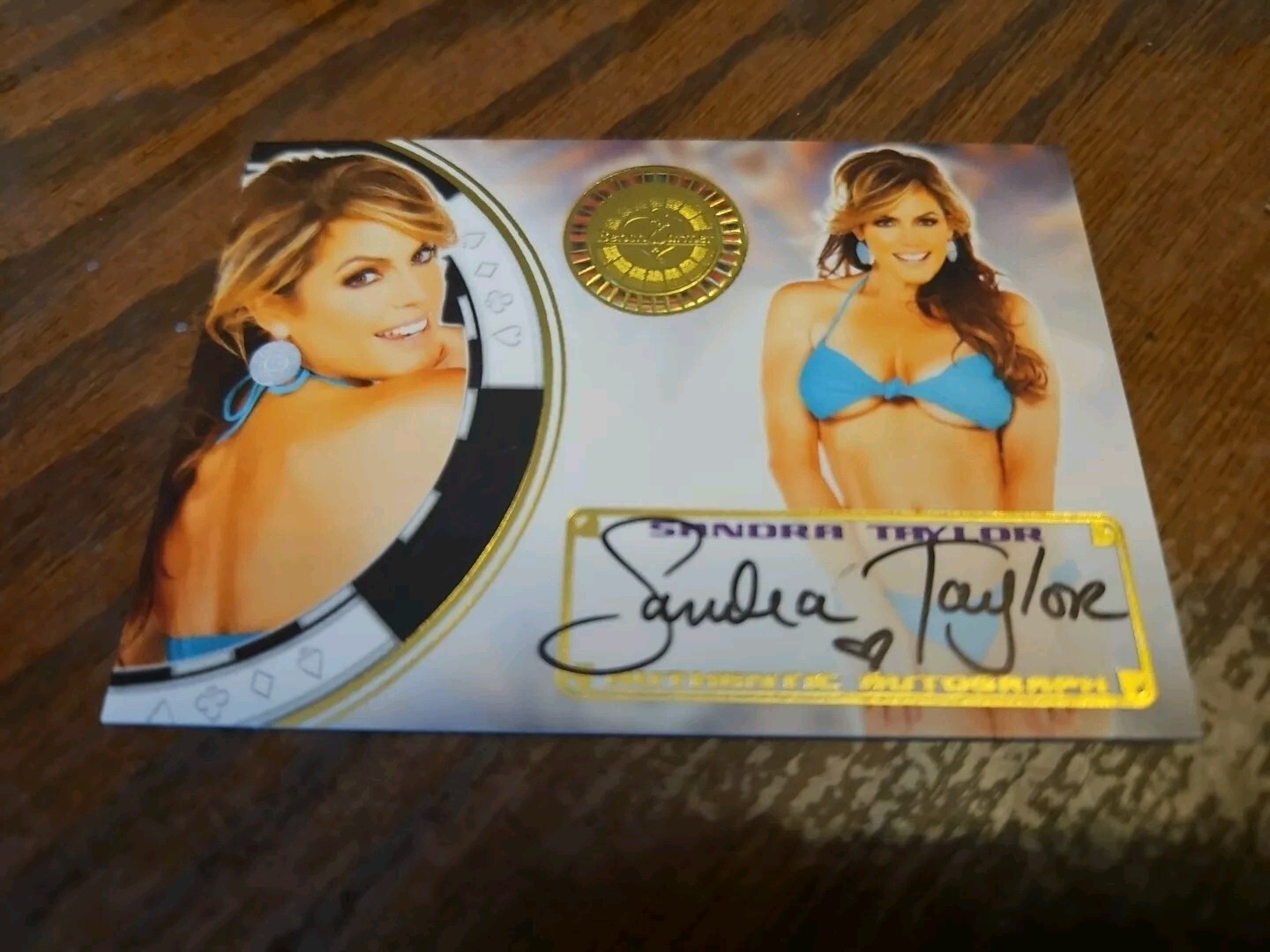 Benchwarmer 2014 Vegas Baby Sandra Taylor Autograph Gold Foil #12 Auto Playboy