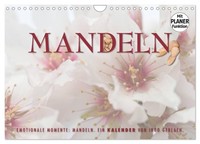 "Calendar 2027 · US Version · Emotional Moments: Almonds (Wall Calendar 2027 12\""