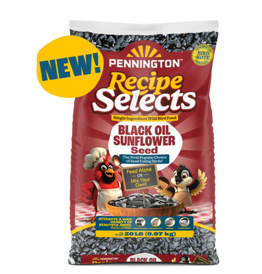 Pennington Select Black Oil Sunflower Seed Dry Wild Bird Feed, 20 lb. Bag, 1 Pac