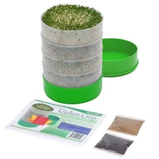 Organic Sprouting Kit with Alfalfa and Broccoli Seeds Grow Fresh Sprouts Easy