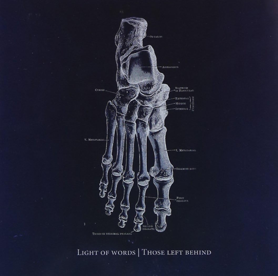 СВЕТ СЛОВ, КОТОРЫЕ остались позади (CD)