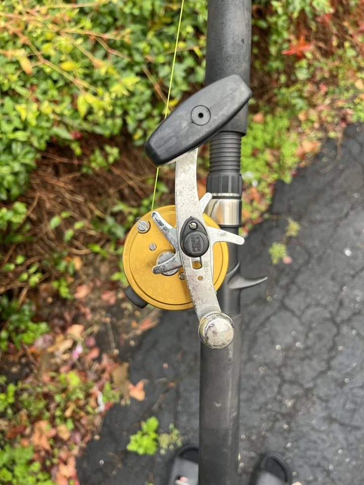 CARRETE PENN INTERNATIONAL 975* * CARRETE DE FUNDICIÓN DE CEBO. HECHO EN USA Foto 3 de 3