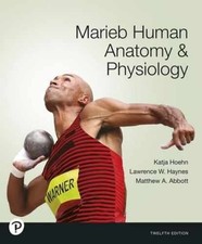 Marieb Human Anatomy & Physiology, 12th - Har...